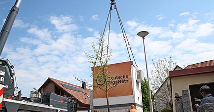 Der "Point of Presence" ist die regionale Technikzentrale für das flächendeckende Glasfasernetz. In Abstatt wurde er jetzt angeliefert und aufgestellt.
Foto: Zwingmann Der "Point of Presence" ist die regionale Technikzentrale für das flächendeckende Glasfasernetz. In Abstatt wurde er jetzt angeliefert und aufgestellt.
Foto: Zwingmann