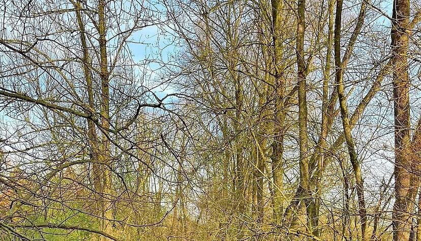 Über 22 Kilometer führt der Brettachtal-Radweg von Geddelsbach in Hohenlohe nach Neuenstadt. Hier, kurz vor Neudeck, ist die Brettach wildromantisch.
Fotos: Tschürtz Über 22 Kilometer führt der Brettachtal-Radweg von Geddelsbach in Hohenlohe nach Neuenstadt. Hier, kurz vor Neudeck, ist die Brettach wildromantisch.
Fotos: Tschürtz
