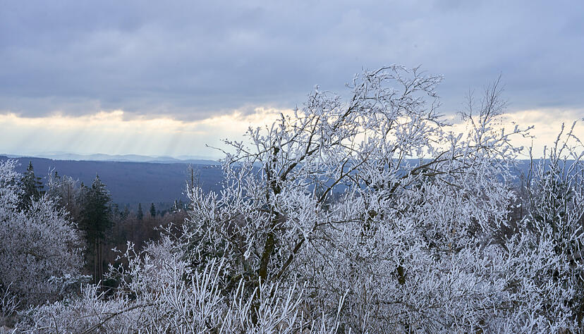 Raureif ist auf den Bäumen zu sehen. In Baden-Württemberg bleibt es weiterhin kalt. Raureif ist auf den Bäumen zu sehen. In Baden-Württemberg bleibt es weiterhin kalt.