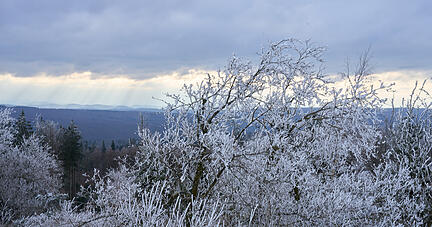 Raureif ist auf den Bäumen zu sehen. In Baden-Württemberg bleibt es weiterhin kalt. Raureif ist auf den Bäumen zu sehen. In Baden-Württemberg bleibt es weiterhin kalt.