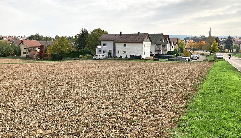 Auf diesem Acker an der Adelshofer Stra&szlig;e sollen Wohnungen realisiert werden. Das hat der Gemeinderat mehrheitlich beschlossen.