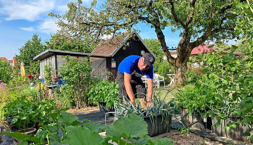 Dominik Böttcher liebt es, im Garten zu graben und zu ernten. Kleingärtnern, das ist mehr als Blumen und Gemüse, sagt Böttcher. Foto: Yvonne Tscherwitschke Dominik Böttcher liebt es, im Garten zu graben und zu ernten. Kleingärtnern, das ist mehr als Blumen und Gemüse, sagt Böttcher. Foto: Yvonne Tscherwitschke