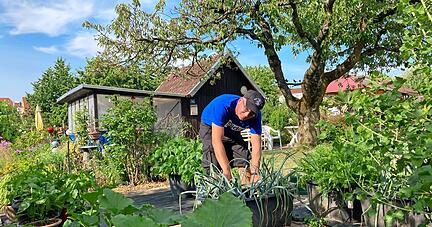 Dominik Böttcher liebt es, im Garten zu graben und zu ernten. Kleingärtnern, das ist mehr als Blumen und Gemüse, sagt Böttcher. Foto: Yvonne Tscherwitschke