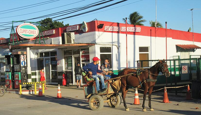 Auch Pferdegespanne gehören zum Straßenbild von Viñales. Auch Pferdegespanne gehören zum Straßenbild von Viñales.