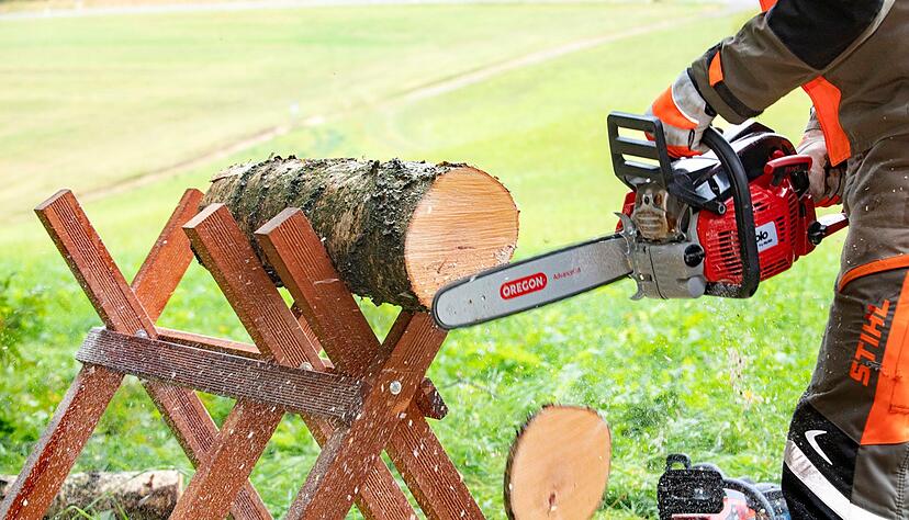 Wer schneidet am besten ab: Im Praxistest haben die Pr&uuml;fer unter anderem getestet, wie schnell die S&auml;gen f&uuml;nf 20-cm-Scheiben schneiden k&ouml;nnen.