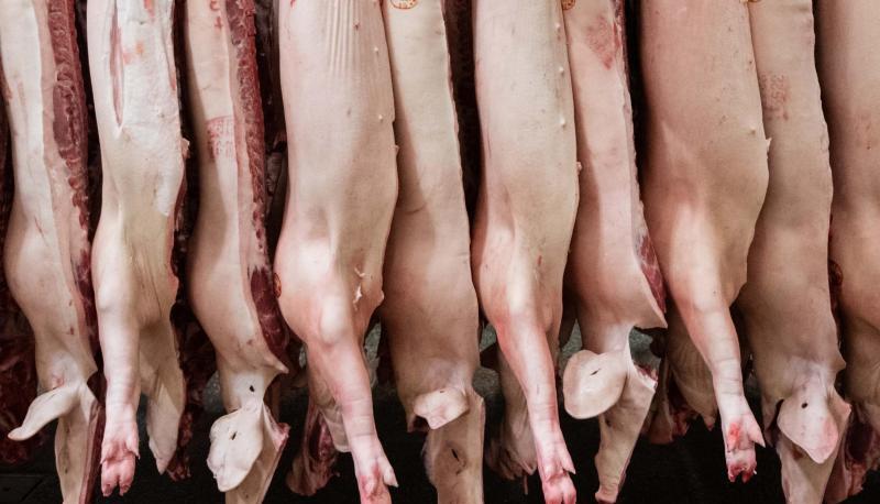 Halbierte Schweine hängen in einem Schlachthof.