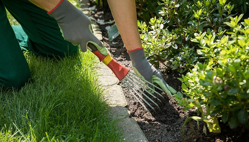 Boden nach dem Winter vorsichtig lockern &ndash; f&uuml;r gesunde Wurzeln und kr&auml;ftige Pflanzen.