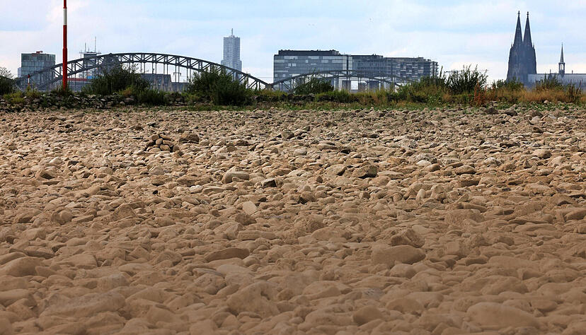 Der Rhein, hier bei Köln, führt an vielen Stellen Niedrigwasser, wie andere Flüsse in Deutschland auch. Foto: dpa Der Rhein, hier bei Köln, führt an vielen Stellen Niedrigwasser, wie andere Flüsse in Deutschland auch. Foto: dpa