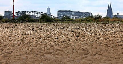 Der Rhein, hier bei Köln, führt an vielen Stellen Niedrigwasser, wie andere Flüsse in Deutschland auch. Foto: dpa