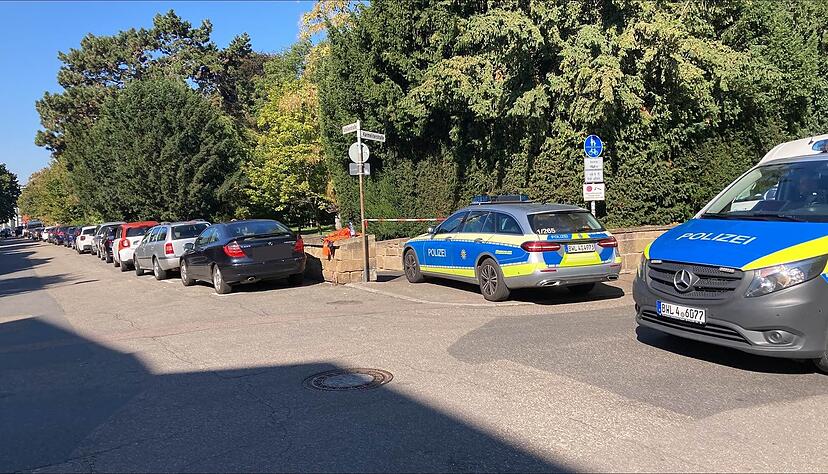 Im Park des Alten Friedhofs an der Karmeliterstraße in Heilbronn sind zwei Brandbomben gefunden worden.