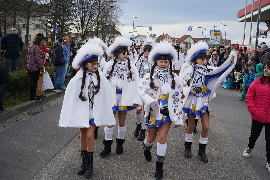 Faschingsumzug in Bad Rappenau