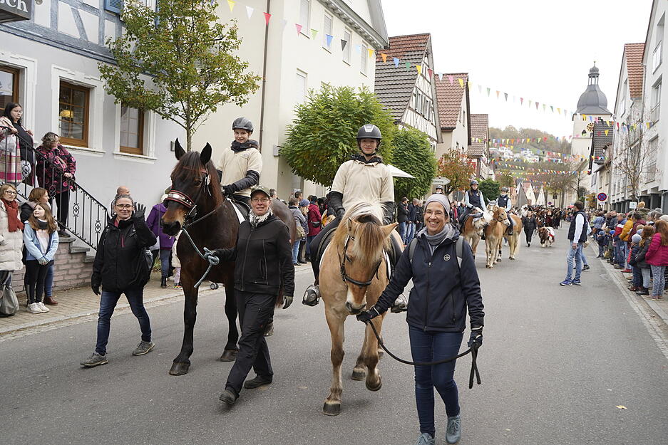 Beim Herbstpferdemarkt in Dörzbach wurden Zuchtstuten und Fohlen prämiert.
