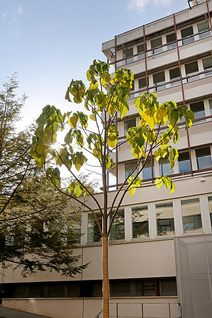 Gedenken an NSU-Mordopfer in Heilbronn
