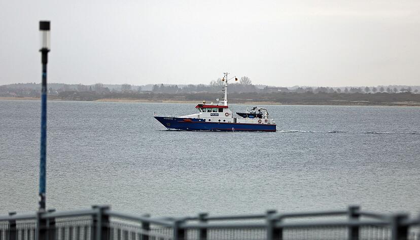 Das Tier war zwischenzeitlich abgetaucht, wurde aber am Dienstagvormittag erneut gesichtet. (Archivbild) Das Tier war zwischenzeitlich abgetaucht, wurde aber am Dienstagvormittag erneut gesichtet. (Archivbild)