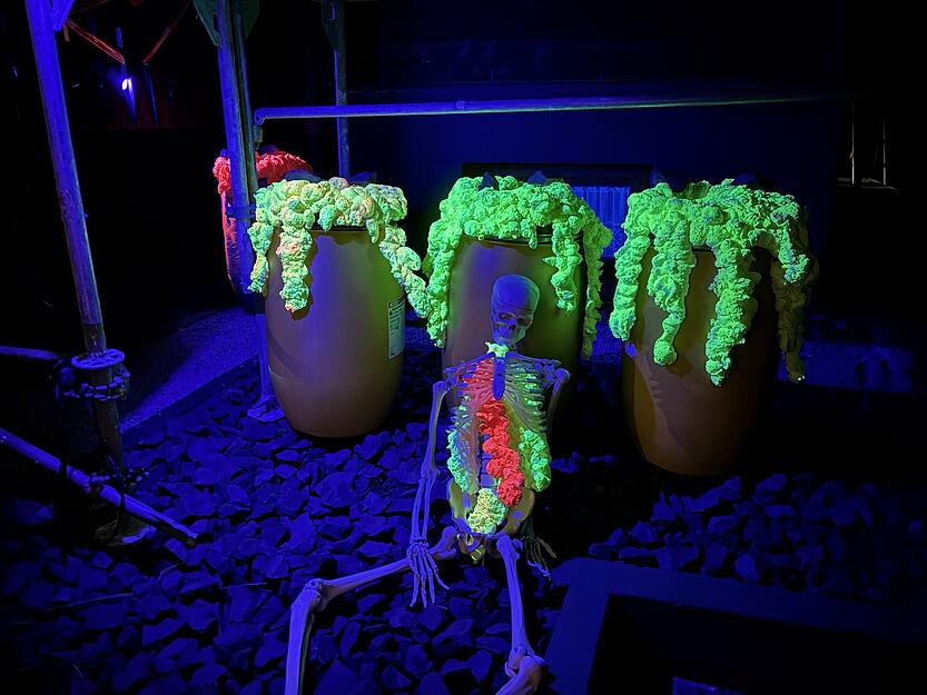 In schummrigem Schwarzlicht entfaltet sich die ganze Atmosphäre des Horrorhauses. In schummrigem Schwarzlicht entfaltet sich die ganze Atmosphäre des Horrorhauses.