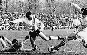Regionalligaschlager am 17. März 1973: 18.000 Zuschauer &minus; einige Fans waren sogar auf die Bäume geklettert &minus; feiern den 2:1-Sieg gegen 1860 München. Fotos (3): Archiv