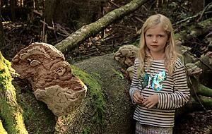 "Lene und die Geister des Waldes" ist eine Doku mit Kindern f&uuml;r Kinder, gedreht in einem der letzten magischen, beinahe unber&uuml;hrten W&auml;lder Europas. Foto: privat