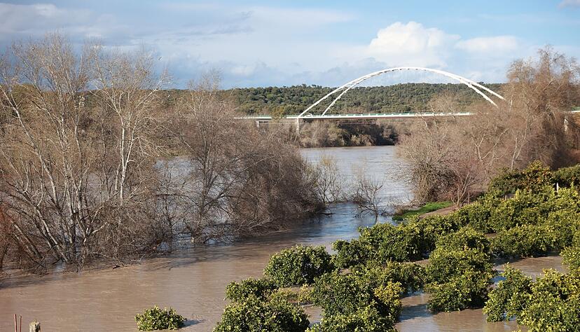 Trotz einer leichten Wetterbesserung am Freitag traten viele Fl&uuml;sse im s&uuml;dspanischen Andalusien wie hier der  Guadalquivir &uuml;ber die Ufer.
