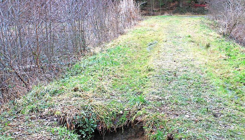 Auf diesem Bild ist der eingestürzte Bibertunnel noch nicht gesichert. Mittlerweile wurde das fast ein Meter große Loch von Revierförster Ulrich Vinnai aber abgesperrt.
Fotos: Lisa-Marie Guja