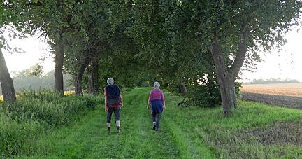 Ein potenzielles Naturdenkmal, das nun durch Straßenbau zerschnitten wird: die alte Allee im Bereich Hohebuch. Als Kompensation soll nun eine neue entstehen.
Foto: privat Ein potenzielles Naturdenkmal, das nun durch Straßenbau zerschnitten wird: die alte Allee im Bereich Hohebuch. Als Kompensation soll nun eine neue entstehen.
Foto: privat