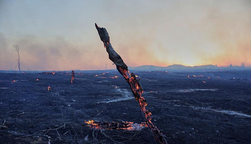 &Uuml;brig bleibt nach den verheerenden Br&auml;nden oft nur verkohlte W&uuml;ste.