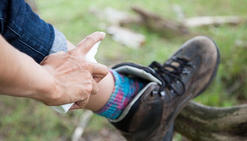 Zeckenschutzmittel verderben den kleinen Tierchen den Appetit.