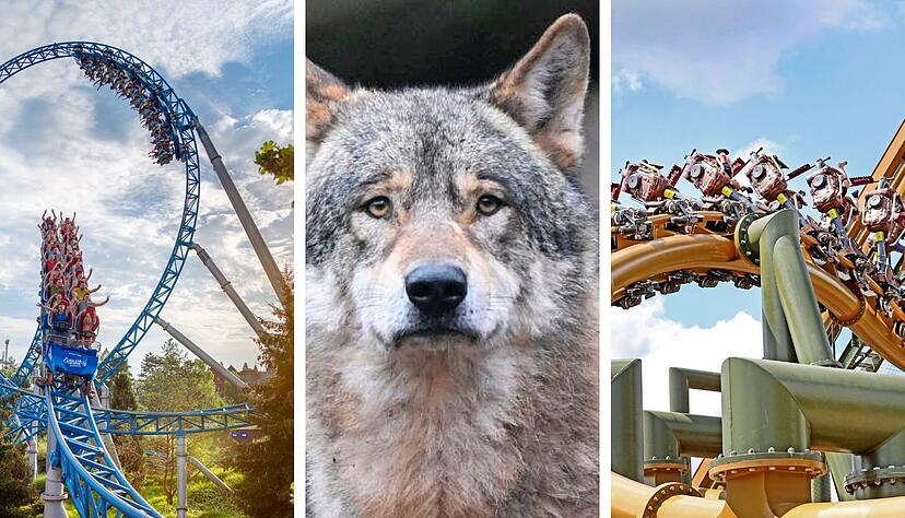 Die Freizeitparks starten in die Saison. Auch in Rust (links) und Cleebronn (rechts) können Besucher in Achterbahnen den Fahrtwind genießen. Die Freizeitparks starten in die Saison. Auch in Rust (links) und Cleebronn (rechts) können Besucher in Achterbahnen den Fahrtwind genießen.