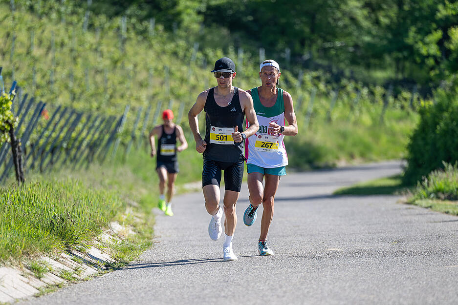 Der Trollinger-Marathon führt die Läufer auch um die Weinberge in Heilbronns Umgebung. Der Trollinger-Marathon führt die Läufer auch um die Weinberge in Heilbronns Umgebung.