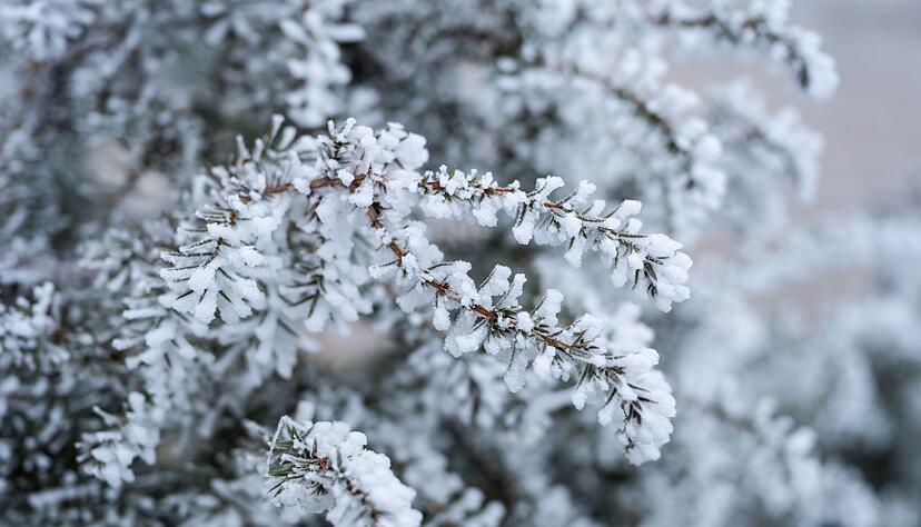 Wei&szlig;e Weihnachten sind m&ouml;glich.