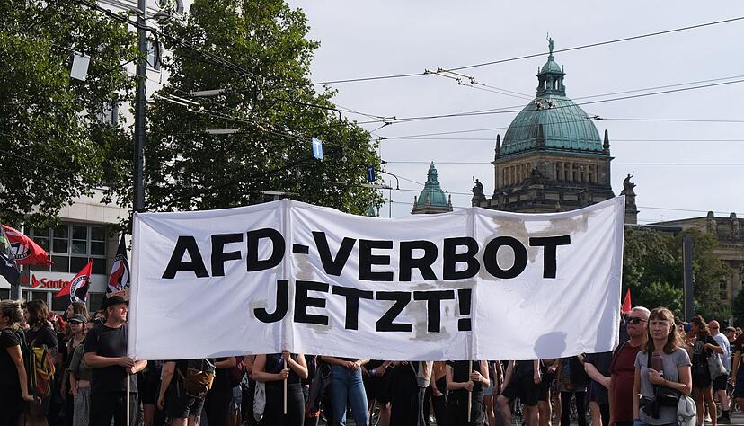 Bei einer Demonstration in Leipzig im August 2024 fordern Teilnehmer ein AfD-Verbot. (Archivbild)