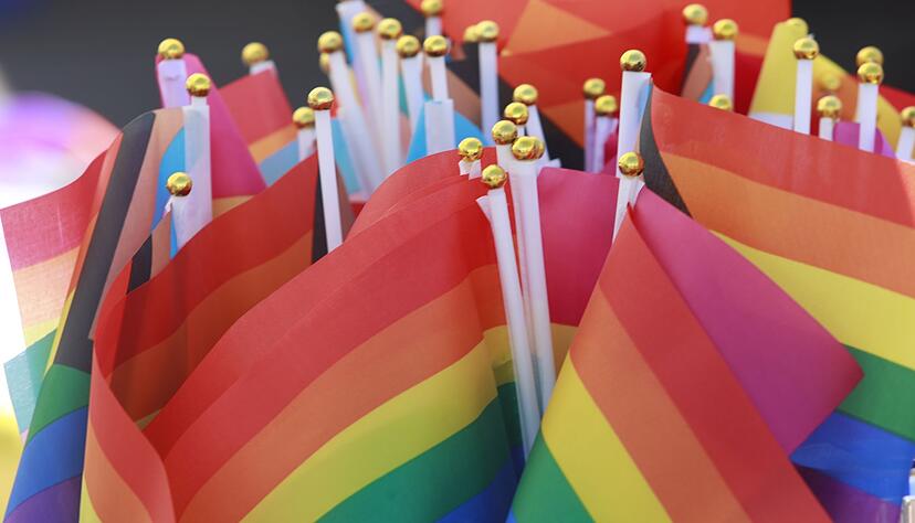 Regenbogenfahnen - Symbol der Community - auf einem Christopher Street Day. (Archivbild)