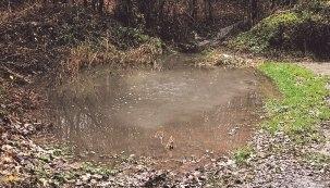 In diesem Regenrückhaltebecken wurde Diana Pawlenko Ende Oktober gefunden. Wasser ist immer in dem Becken. Der Wasserstand aber schwankt.Foto: Lambert In diesem Regenrückhaltebecken wurde Diana Pawlenko Ende Oktober gefunden. Wasser ist immer in dem Becken. Der Wasserstand aber schwankt.Foto: Lambert