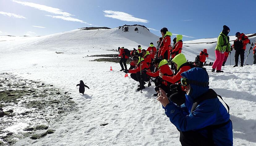 Pinguine zu beobachten, ist ein Highlight der meisten Landgänge. Pinguine zu beobachten, ist ein Highlight der meisten Landgänge.