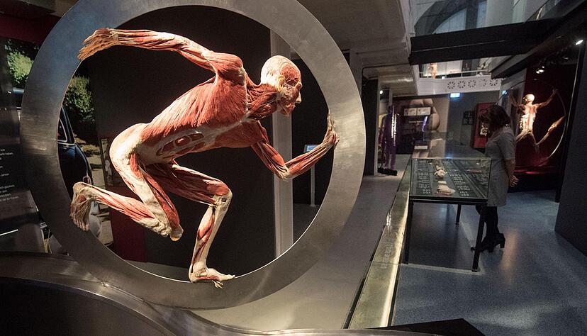 K&ouml;rperwelten-Ausstellung in Heidelberg