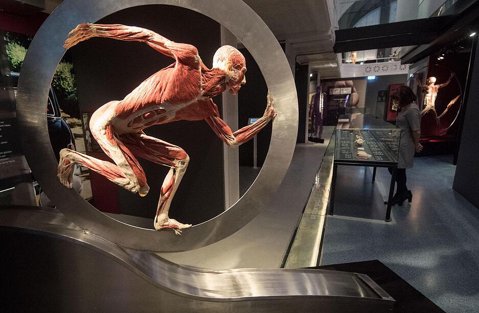 K&ouml;rperwelten-Ausstellung in Heidelberg