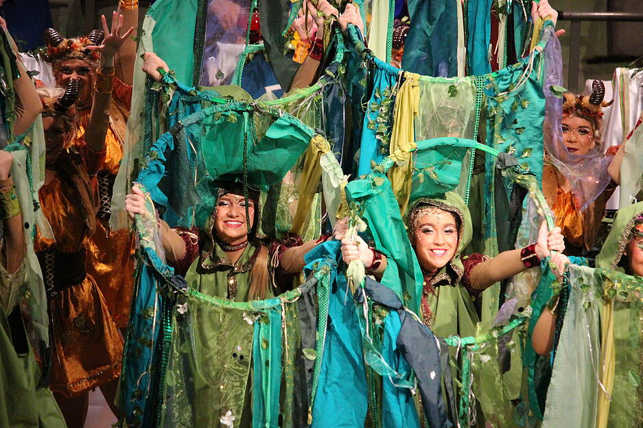 Prunksitzung Lemia Krautheim