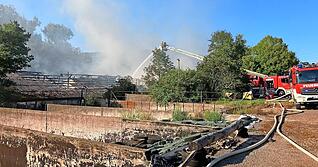 Eine dichte Rauchsäule ist beim Brand im vergangenen Sommer über dem Hof in Forchtenberg-Ernsbach aufgestiegen. Eine dichte Rauchsäule ist beim Brand im vergangenen Sommer über dem Hof in Forchtenberg-Ernsbach aufgestiegen.