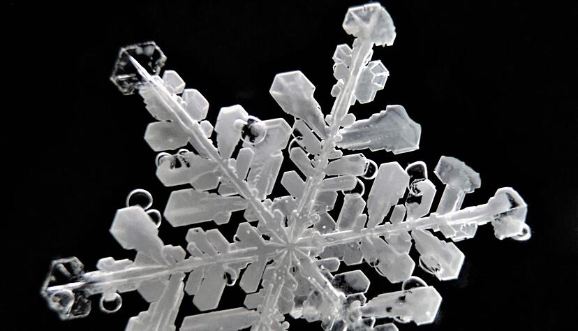 Schneeflocken haben sehr feine Strukturen.