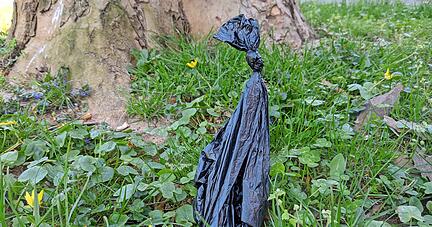 Bef&uuml;llte Hundekott&uuml;ten in freier Wildbahn sind f&uuml;r alle ein &Auml;rgernis, auch f&uuml;r Hundebesitzer, die es richtig machen.   
Foto: Stefanie Pf&auml;ffle