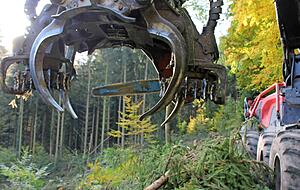 Scharfe Z&auml;hne, scharfe Klingen: Messer und S&auml;ge am Aufarbeitungskopf des Vollernters.