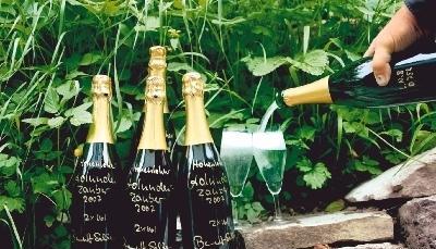 Die fertigen Flaschen, jede einzelne mit goldener Schrift signiert. Der Sekt ist klar, sch&auml;umt beim Einschenken grazil auf und schmeckt herrlich nach Holunder.