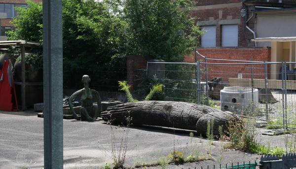Der hölzerne Riesenpenis, der zwischen der Baumreihe in der Oberen Neckarstraße platziert war, ist weg. Der hölzerne Riesenpenis, der zwischen der Baumreihe in der Oberen Neckarstraße platziert war, ist weg.