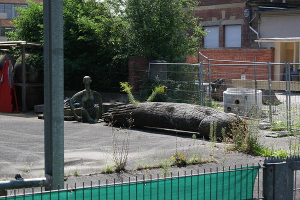 Der hölzerne Riesenpenis, der zwischen der Baumreihe in der Oberen Neckarstraße platziert war, ist weg.