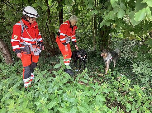Mitglieder der Rettungshundestaffel Unterland beteiligen sich am Mittwochvormittag an der Suchaktion zwischen Neckargartach und Frankenbach. Laut Rettungshundestaffel sind sechs Hunde im Einsatz, davon ein Trailer – ein Personenspürhund. Mitglieder der Rettungshundestaffel Unterland beteiligen sich am Mittwochvormittag an der Suchaktion zwischen Neckargartach und Frankenbach. Laut Rettungshundestaffel sind sechs Hunde im Einsatz, davon ein Trailer – ein Personenspürhund.