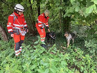 Mitglieder der Rettungshundestaffel Unterland beteiligen sich am Mittwochvormittag an der Suchaktion zwischen Neckargartach und Frankenbach. Laut Rettungshundestaffel sind sechs Hunde im Einsatz, davon ein Trailer – ein Personenspürhund.