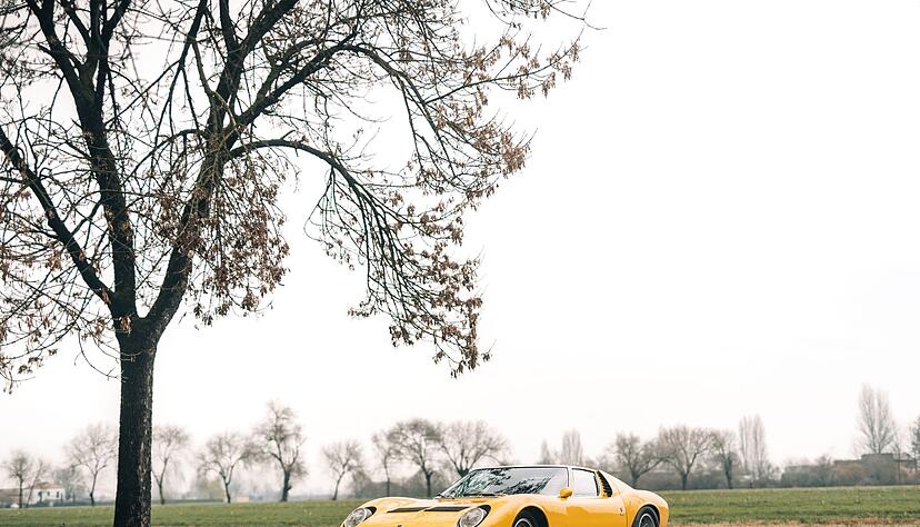 Flacher Frosch? Flach gewiss, doch bei Frosch d&uuml;rften so einige widersprechen - gilt doch der  Miura als einer der sch&ouml;nsten Lamborghini.