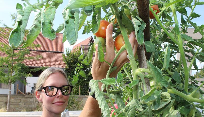 Besucherin Stephanie Kaiser aus Leingarten freut sich über die Tomaten am Stadtpavillon. Besucherin Stephanie Kaiser aus Leingarten freut sich über die Tomaten am Stadtpavillon.
