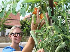 A garden show to lick: what is now ripening between the old town and Elsenz