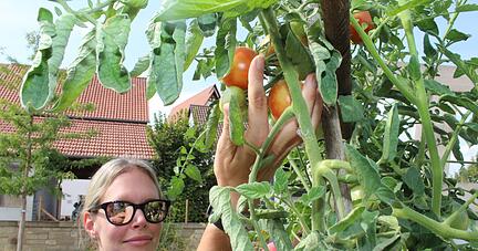 Besucherin Stephanie Kaiser aus Leingarten freut sich über die Tomaten am Stadtpavillon.