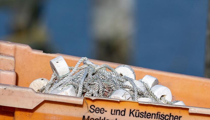 Heringe dürfen unter bestimmten Bedingungen beispielsweise mit Reusen auch kommendes Jahr gefangen werden. Heringe dürfen unter bestimmten Bedingungen beispielsweise mit Reusen auch kommendes Jahr gefangen werden.